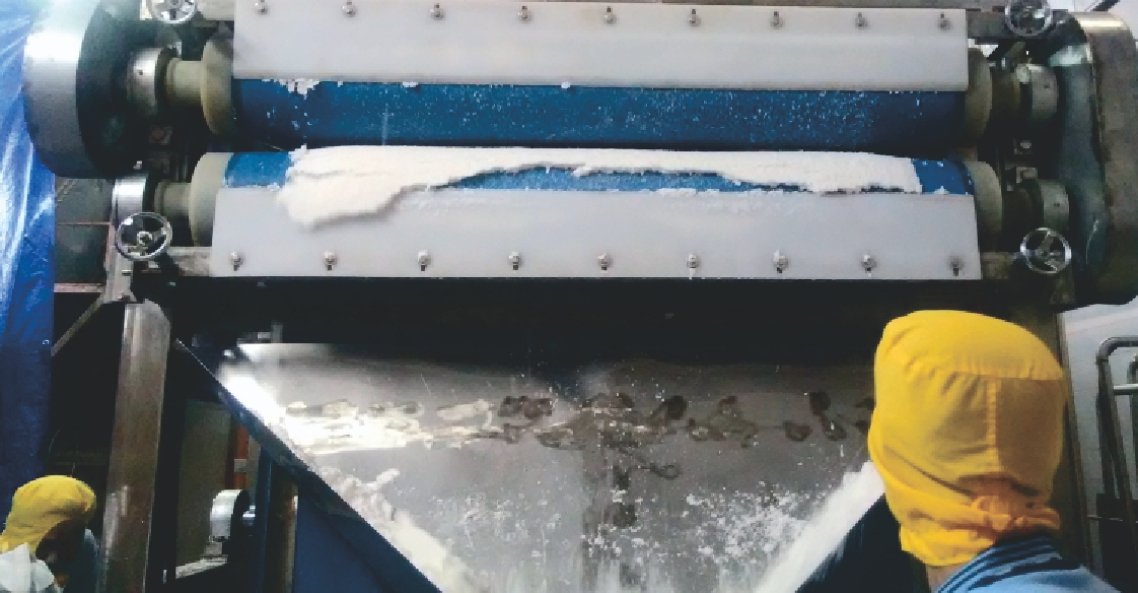 Coconut Meat Pressing And Dehydration