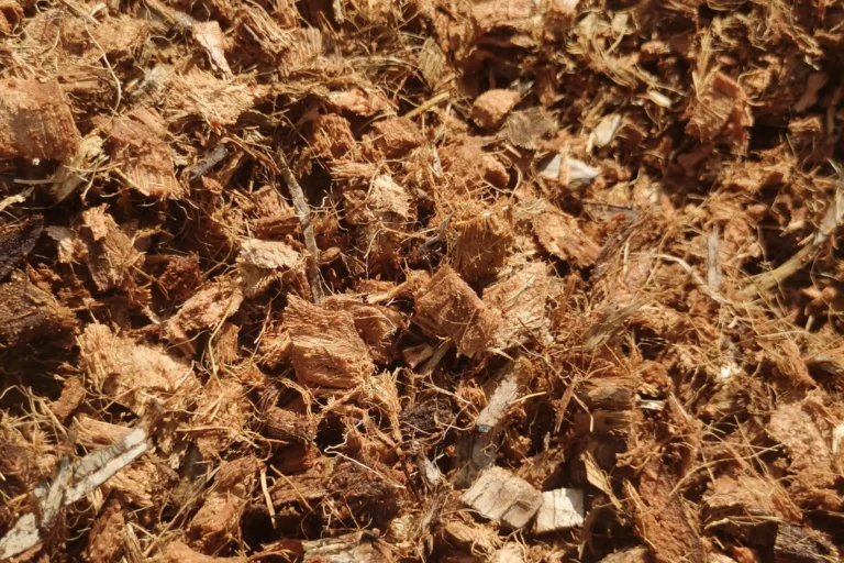 Large Scale Coconut Shell Processing
