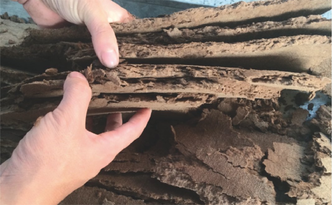 Pharmaceutical Residue Pressing And Dehydration