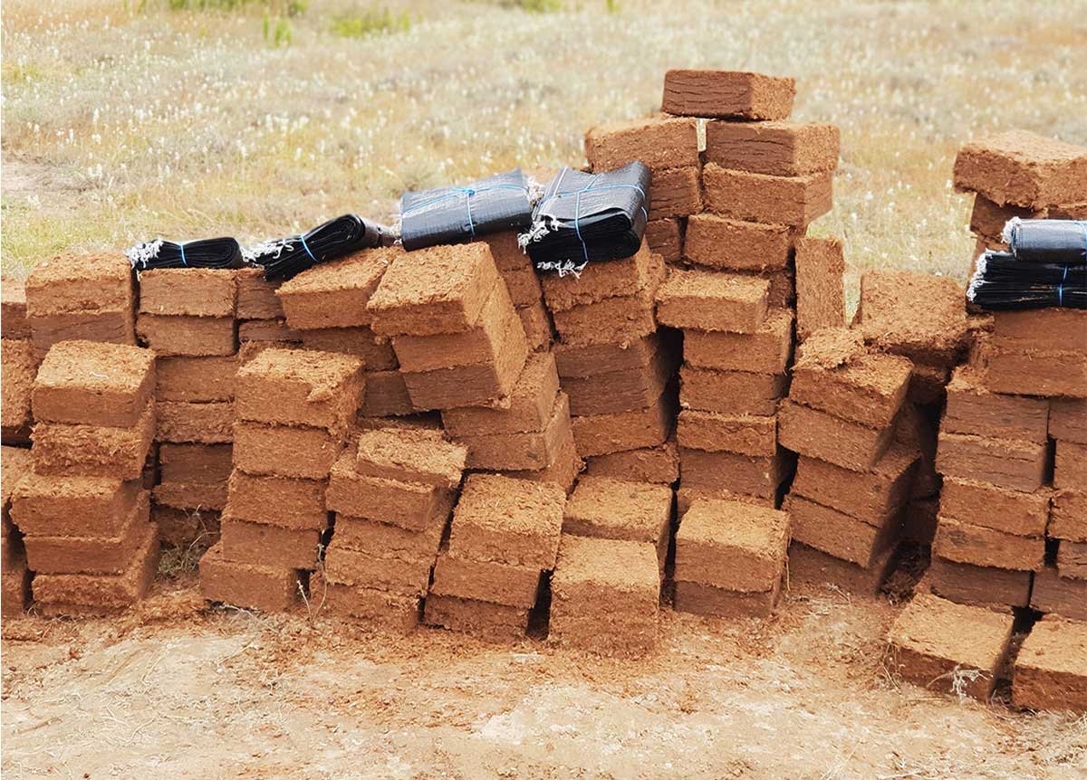 Coco Peat