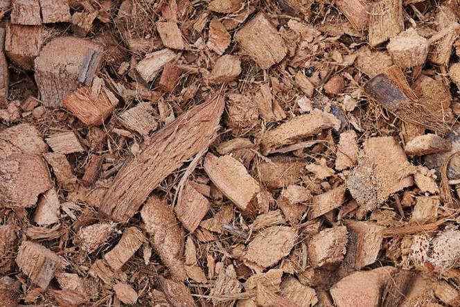 Coconut Shell Recycling