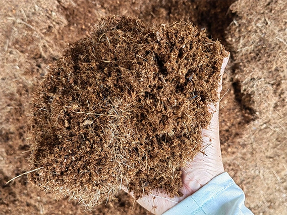 Low Ec Coco Peat