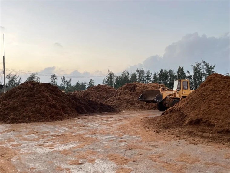 Coco Coir Industry