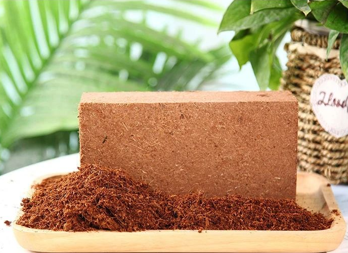 Coco Peat Brick