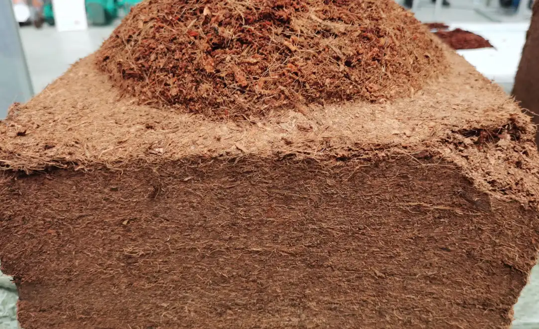 Low Moisture Coco Peat Brick
