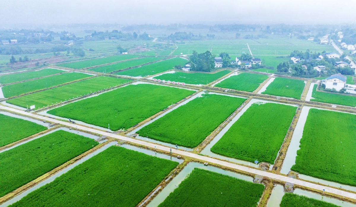 Agricultural Resource Utilization