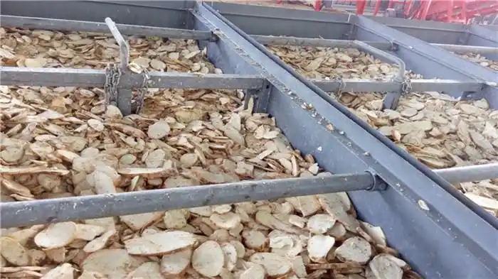 Cassava Dewatering