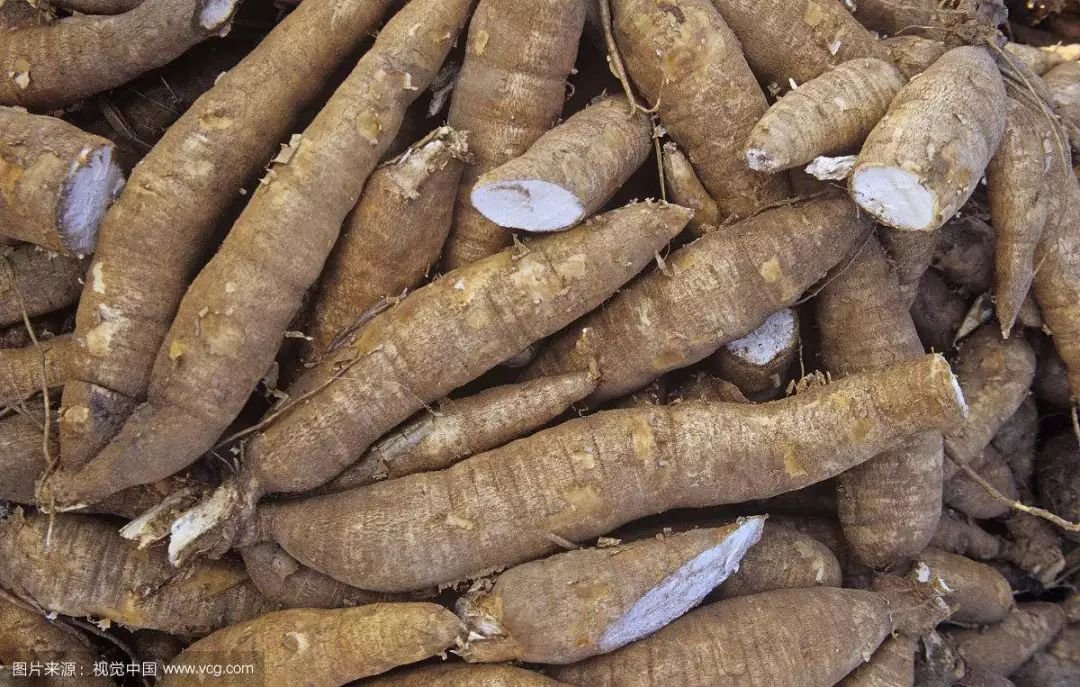 Cassava