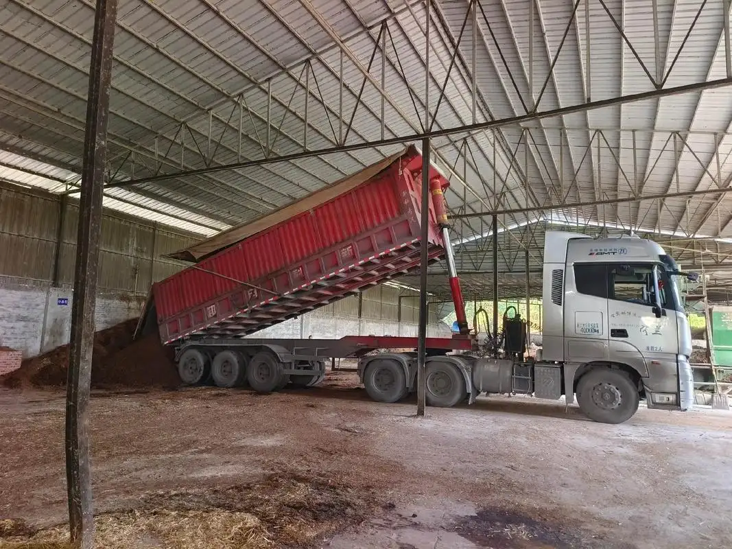Dried Distillers Grains