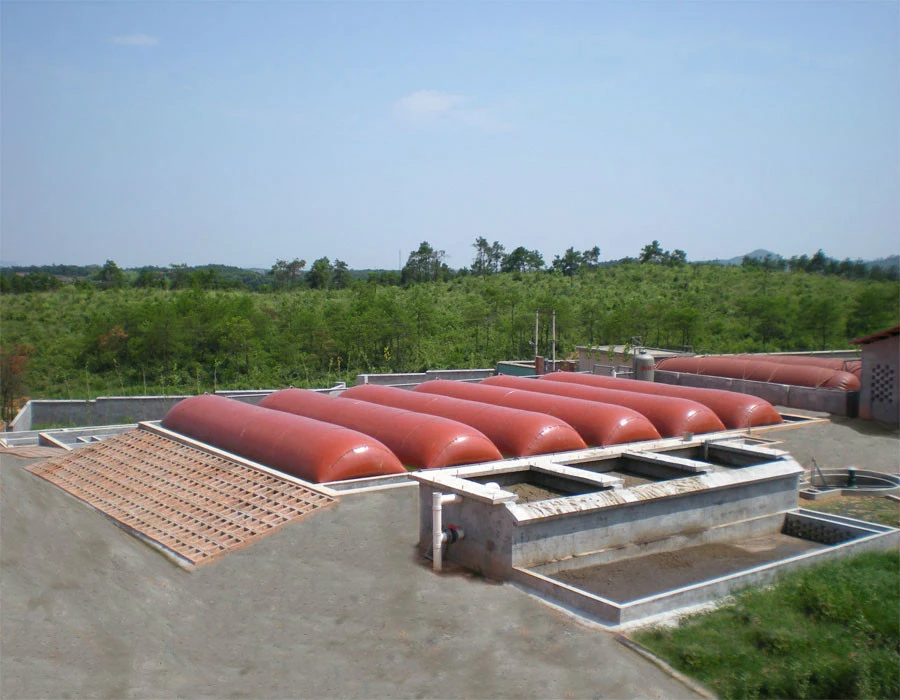 Cow Dung Biogas