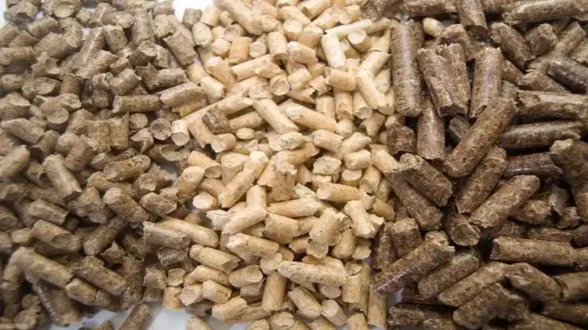 Biomass Fuel