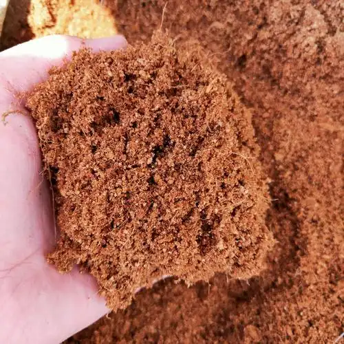 Export Grade Coco Peat