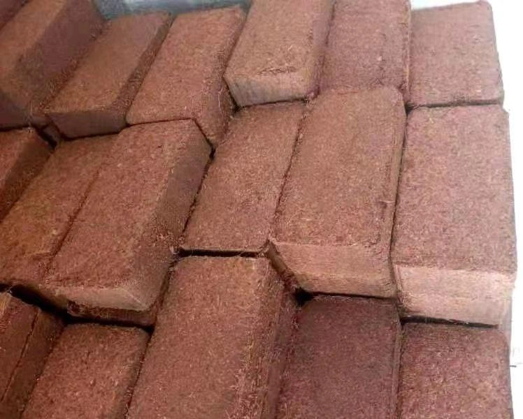 High Quality Coco Peat
