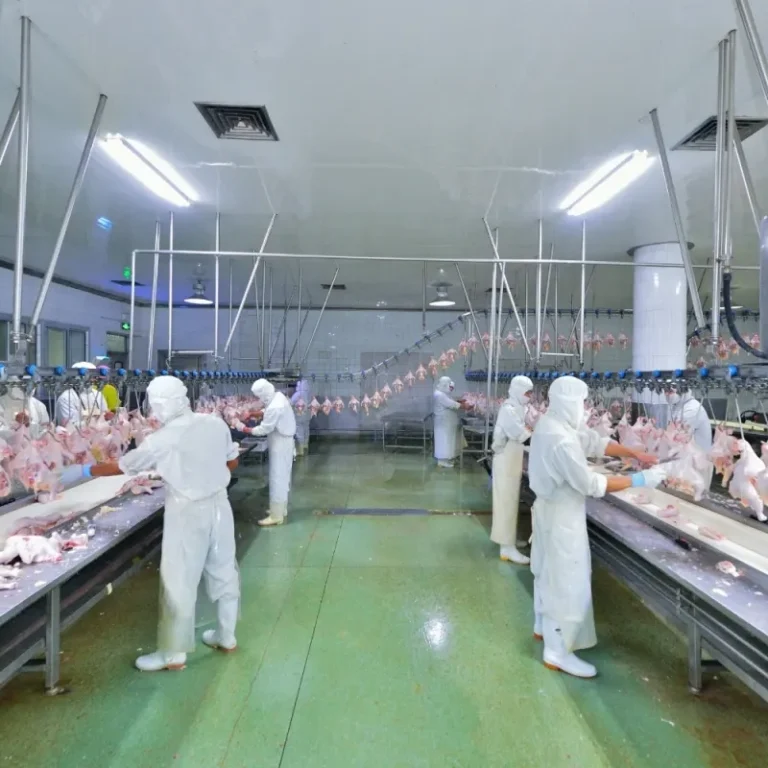 Slaughter Processing Plant