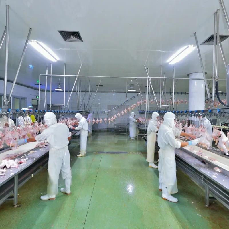 Slaughter Processing Plant