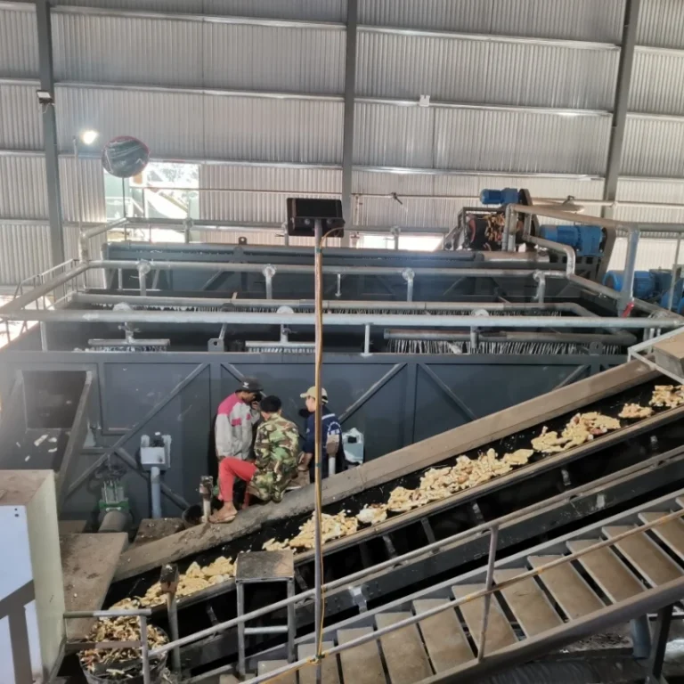 Cassava Starch Factory