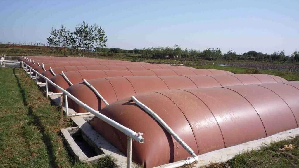 Cow Manure Biogas