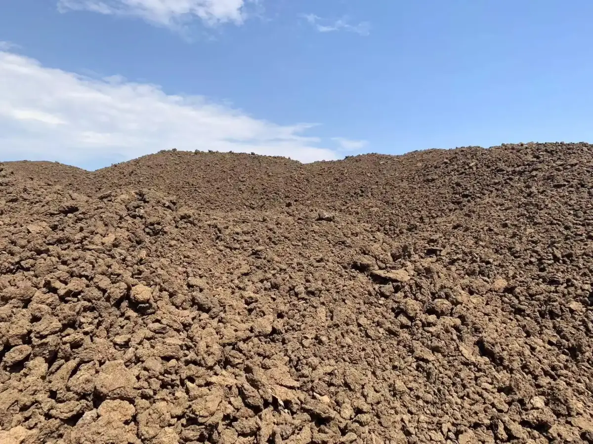 Dewatered Cow Manure