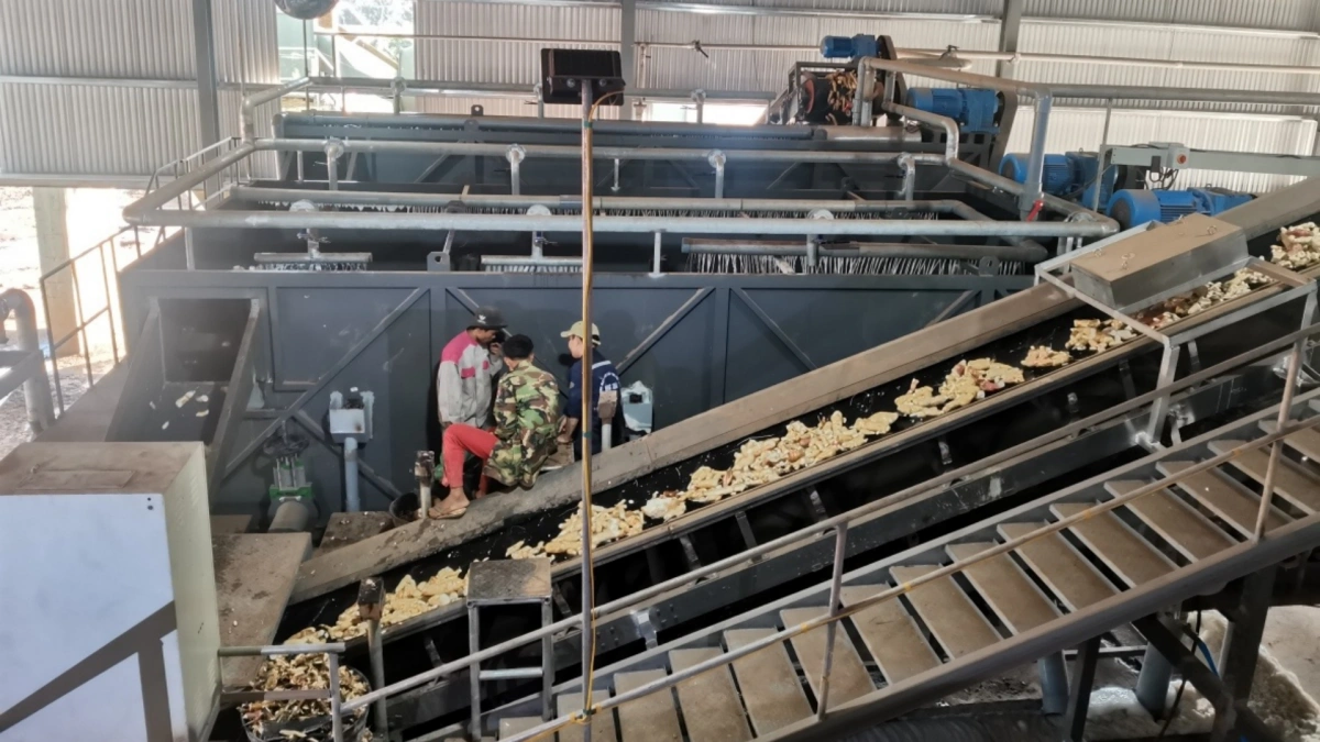 Cassava Starch Factory