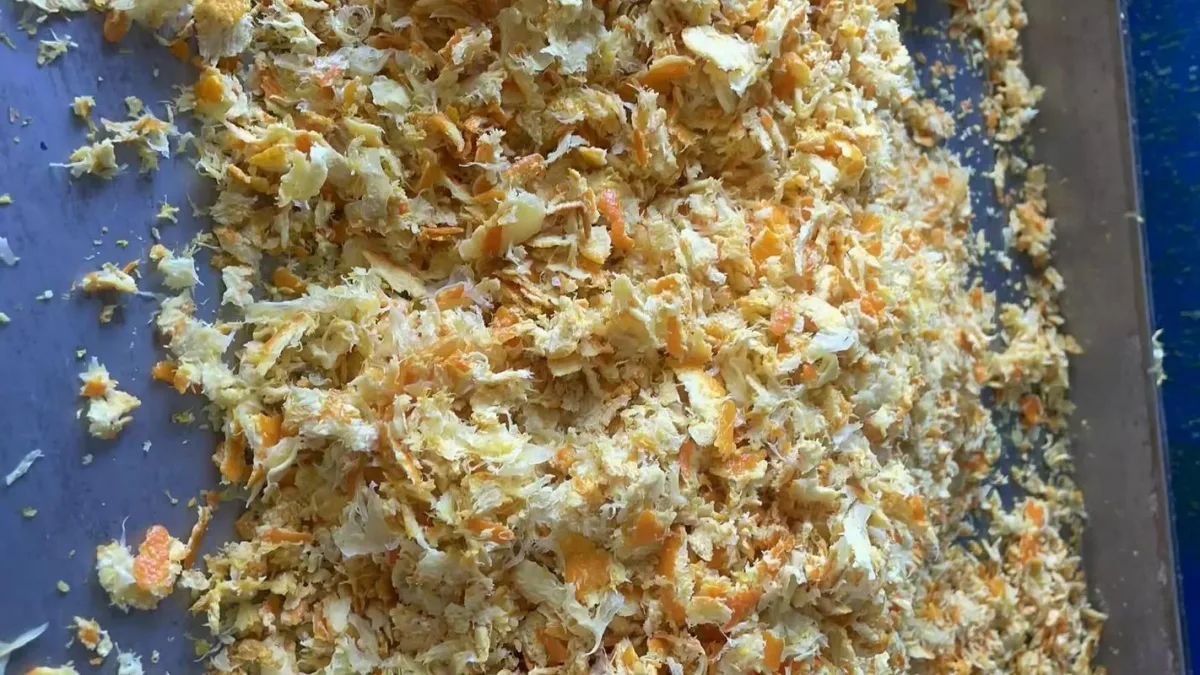 Pomace Dehydration
