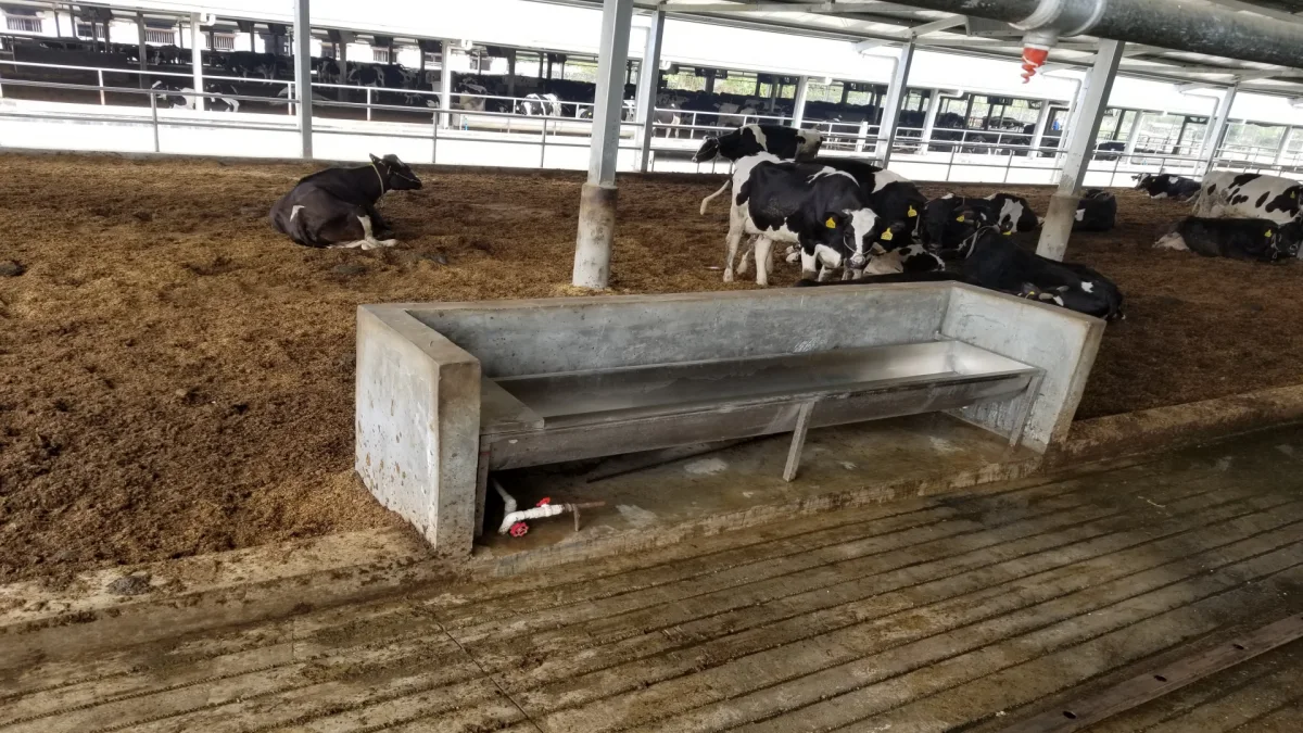 Dairy Farm Manure Treatment