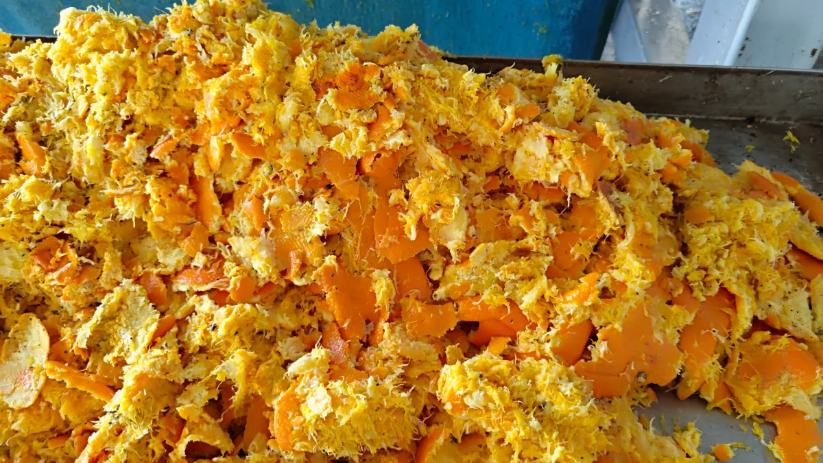 Dewatered Orange Pomace