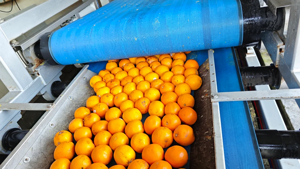 Orange Pomace Pressing & Dewatering Test